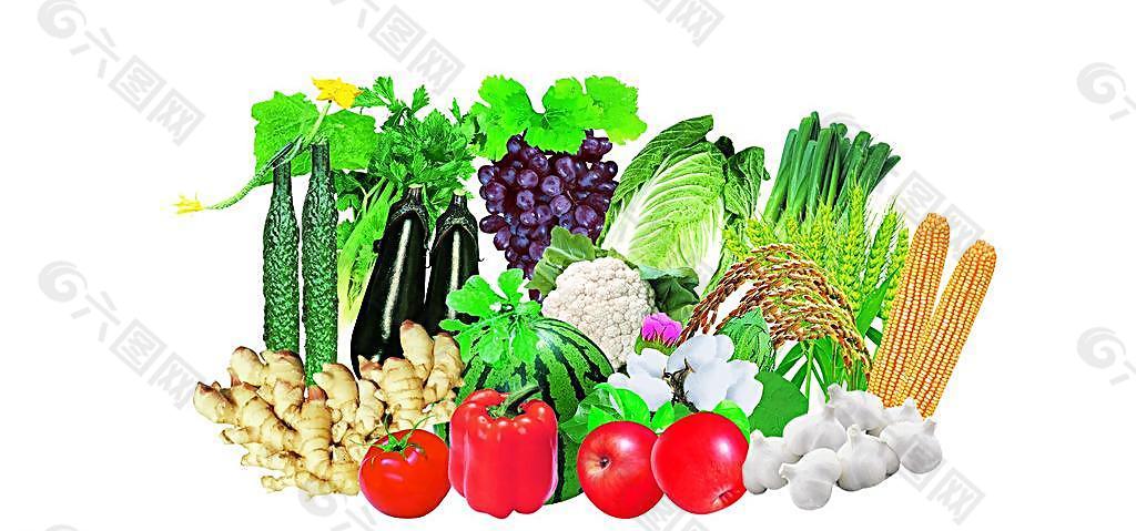 水果蔬菜組合圖片