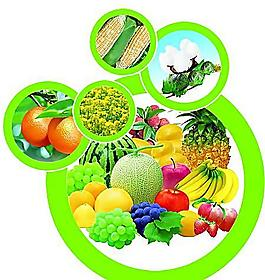 切開(kāi)的哈密瓜產(chǎn)品工業(yè)圖片_切開(kāi)的哈密瓜產(chǎn)品工業(yè)素材_切開(kāi)的哈密瓜產(chǎn)品工業(yè)