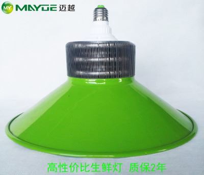 工礦燈/生鮮燈套件：專業豬肉燈外殼，提升生鮮展示照明效果