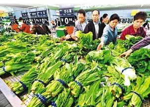 春節前菜市場探秘 蔬菜、水產、肉類價格與供應全解析