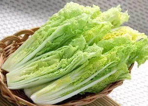 京東進軍蔬菜領域 重塑品質標準，超越有機蔬菜的革新之路