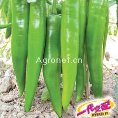 蔬菜與個(gè)人健康 如何善用蔬菜網(wǎng)產(chǎn)品庫(kù)打造均衡飲食