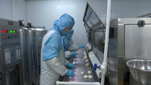 海門農業龍頭企全面復工復產，防疫消毒護航農業生產